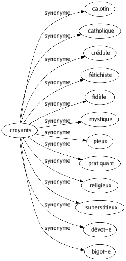 Synonyme de Croyants : Calotin Catholique Crédule Fétichiste Fidèle Mystique Pieux Pratiquant Religieux Superstitieux Dévot-e Bigot-e 