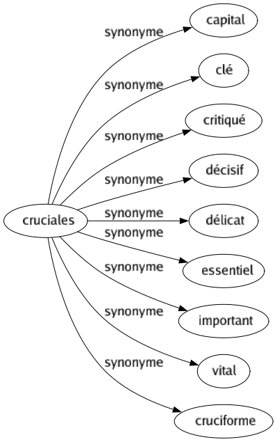 Synonyme de Cruciales : Capital Clé Critiqué Décisif Délicat Essentiel Important Vital Cruciforme 