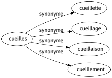 Synonyme de Cueilles : Cueillette Cueillage Cueillaison Cueillement 