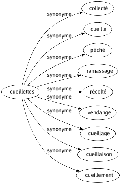 Synonyme de Cueillettes : Collecté Cueille Pêché Ramassage Récolté Vendange Cueillage Cueillaison Cueillement 