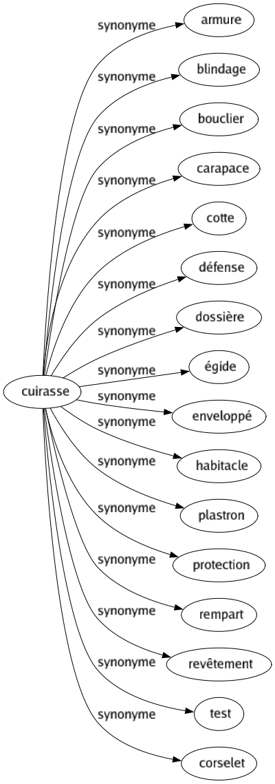 Synonyme de Cuirasse : Armure Blindage Bouclier Carapace Cotte Défense Dossière Égide Enveloppé Habitacle Plastron Protection Rempart Revêtement Test Corselet 