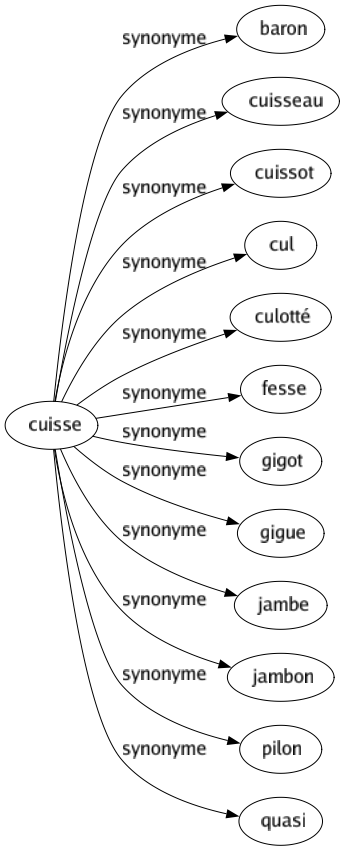 Synonyme de Cuisse : Baron Cuisseau Cuissot Cul Culotté Fesse Gigot Gigue Jambe Jambon Pilon Quasi 