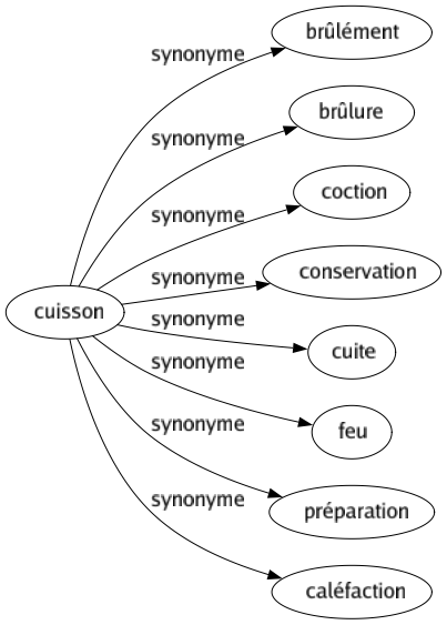 Synonyme de Cuisson : Brûlément Brûlure Coction Conservation Cuite Feu Préparation Caléfaction 