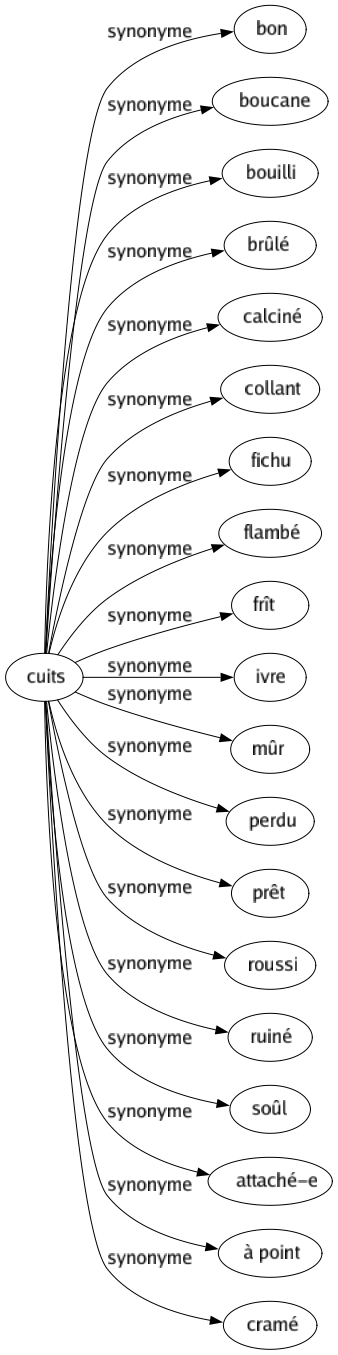 Synonyme de Cuits : Bon Boucane Bouilli Brûlé Calciné Collant Fichu Flambé Frît Ivre Mûr Perdu Prêt Roussi Ruiné Soûl Attaché-e À point Cramé 