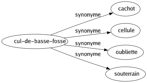 Synonyme de Cul-de-basse-fosse : Cachot Cellule Oubliette Souterrain 