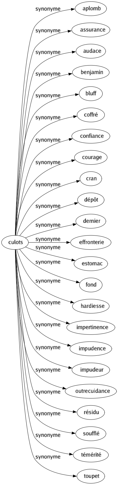 Synonyme de Culots : Aplomb Assurance Audace Benjamin Bluff Coffré Confiance Courage Cran Dépôt Dernier Effronterie Estomac Fond Hardiesse Impertinence Impudence Impudeur Outrecuidance Résidu Soufflé Témérité Toupet 