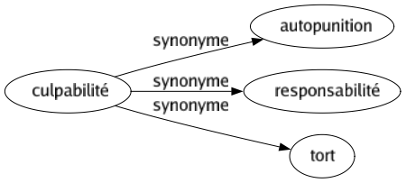 Synonyme de Culpabilité : Autopunition Responsabilité Tort 