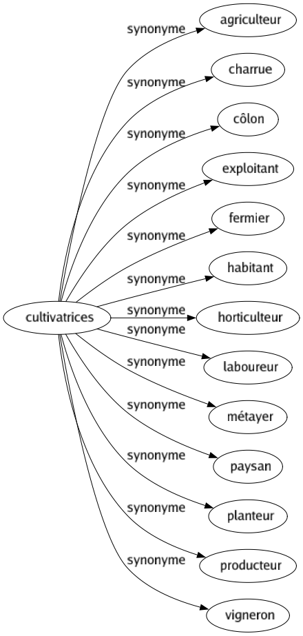 Synonyme de Cultivatrices : Agriculteur Charrue Côlon Exploitant Fermier Habitant Horticulteur Laboureur Métayer Paysan Planteur Producteur Vigneron 