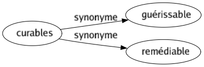 Synonyme de Curables : Guérissable Remédiable 