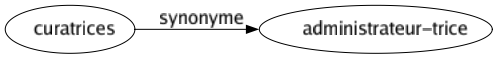 Synonyme de Curatrices : Administrateur-trice 