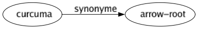Synonyme de Curcuma : Arrow-root 