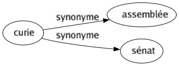 Synonyme de Curie : Assemblée Sénat 