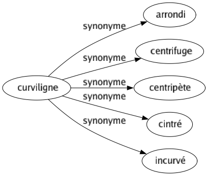 Synonyme de Curviligne : Arrondi Centrifuge Centripète Cintré Incurvé 