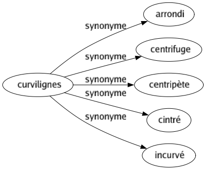 Synonyme de Curvilignes : Arrondi Centrifuge Centripète Cintré Incurvé 