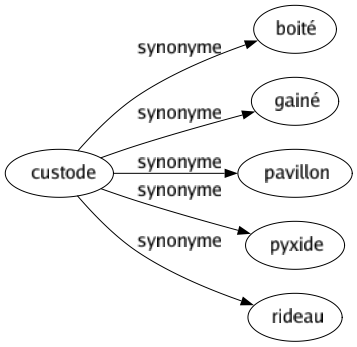 Synonyme de Custode : Boité Gainé Pavillon Pyxide Rideau 