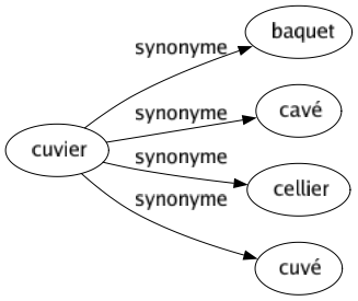 Synonyme de Cuvier : Baquet Cavé Cellier Cuvé 