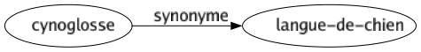 Synonyme de Cynoglosse : Langue-de-chien 