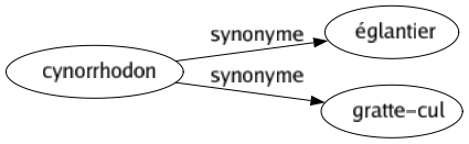 Synonyme de Cynorrhodon : Églantier Gratte-cul 