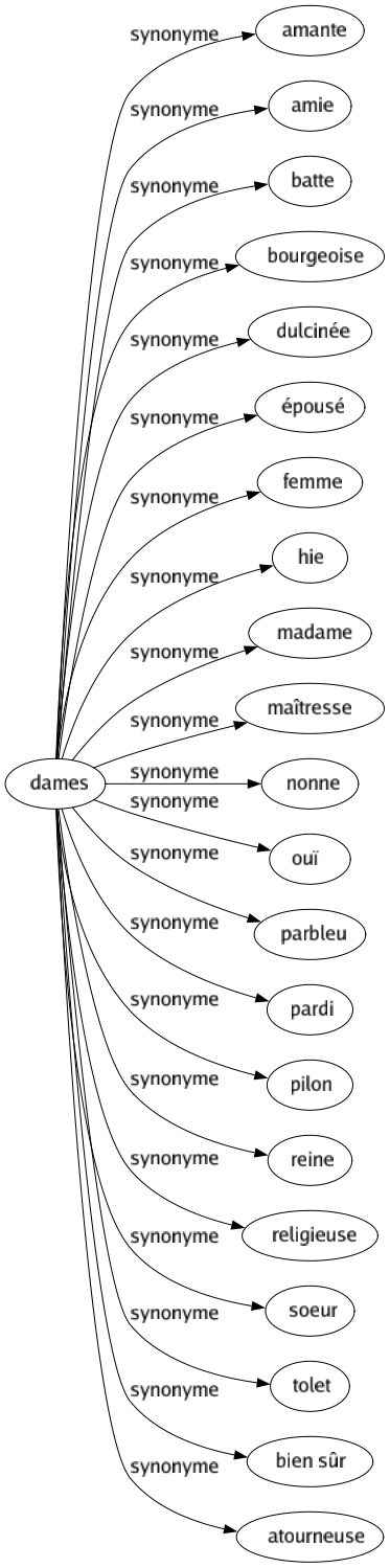 Synonyme de Dames : Amante Amie Batte Bourgeoise Dulcinée Épousé Femme Hie Madame Maîtresse Nonne Ouï Parbleu Pardi Pilon Reine Religieuse Soeur Tolet Bien sûr Atourneuse 