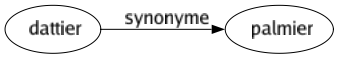 Synonyme de Dattier : Palmier 