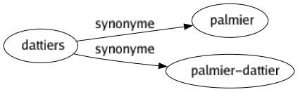 Synonyme de Dattiers : Palmier Palmier-dattier 