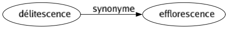 Synonyme de Délitescence : Efflorescence 