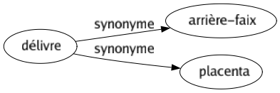 Synonyme de Délivre : Arrière-faix Placenta 