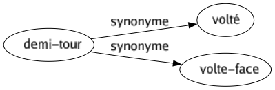 Synonyme de Demi-tour : Volté Volte-face 