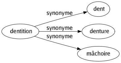 Synonyme de Dentition : Dent Denture Mâchoire 