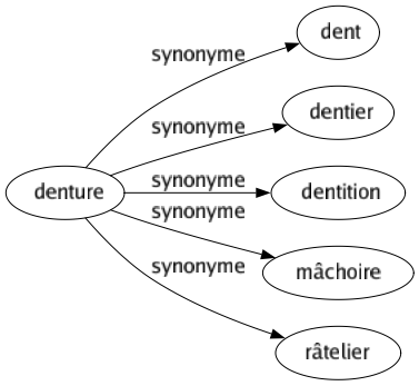 Synonyme de Denture : Dent Dentier Dentition Mâchoire Râtelier 