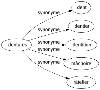 Synonyme de Dentures : Dent Dentier Dentition Mâchoire Râtelier 