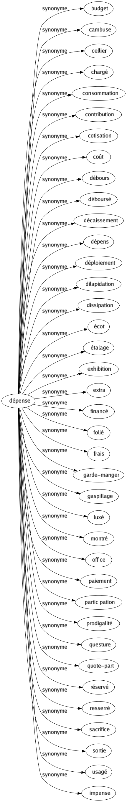 Synonyme de Dépense : Budget Cambuse Cellier Chargé Consommation Contribution Cotisation Coût Débours Déboursé Décaissement Dépens Déploiement Dilapidation Dissipation Écot Étalage Exhibition Extra Financé Folié Frais Garde-manger Gaspillage Luxé Montré Office Paiement Participation Prodigalité Questure Quote-part Réservé Resserré Sacrifice Sortie Usagé Impense 