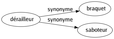 Synonyme de Dérailleur : Braquet Saboteur 