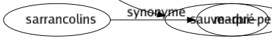 Synonyme de Déroute : Ahuri Banqueroute Bataille Confusion Débâclé Débandade Déconfiture Défaite Défection Dérangement Désarroi Désastre Désordre Dispersion Dissolution Écroulement Faillite Fuite Naufragé Paniqué Revers Ruiné Sauve-qui-peut 