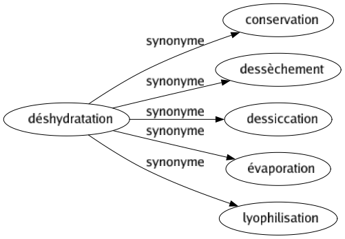 Synonyme de Déshydratation : Conservation Dessèchement Dessiccation Évaporation Lyophilisation 