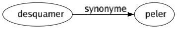 Synonyme de Desquamer : Peler 