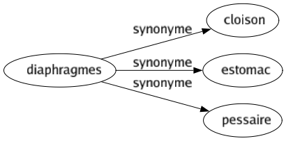 Synonyme de Diaphragmes : Cloison Estomac Pessaire 