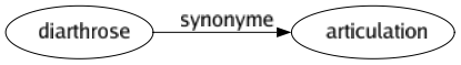 Synonyme de Diarthrose : Articulation 