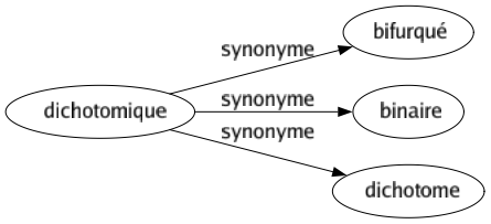 Synonyme de Dichotomique : Bifurqué Binaire Dichotome 