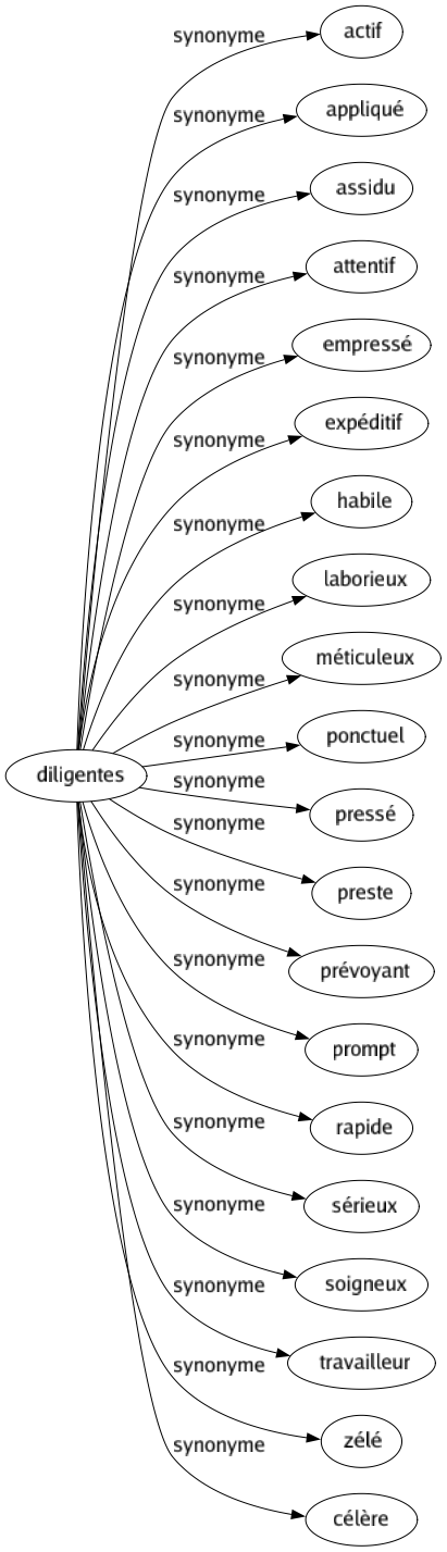 Synonyme de Diligentes : Actif Appliqué Assidu Attentif Empressé Expéditif Habile Laborieux Méticuleux Ponctuel Pressé Preste Prévoyant Prompt Rapide Sérieux Soigneux Travailleur Zélé Célère 