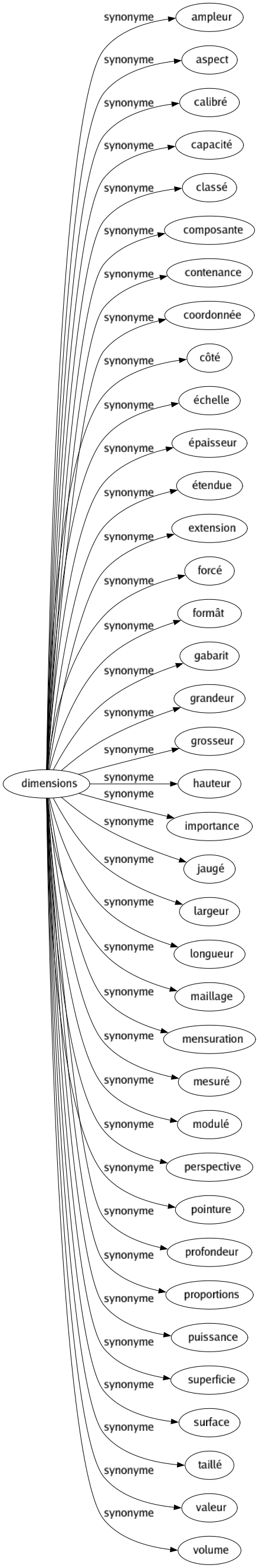 Synonyme de Dimensions : Ampleur Aspect Calibré Capacité Classé Composante Contenance Coordonnée Côté Échelle Épaisseur Étendue Extension Forcé Formât Gabarit Grandeur Grosseur Hauteur Importance Jaugé Largeur Longueur Maillage Mensuration Mesuré Modulé Perspective Pointure Profondeur Proportions Puissance Superficie Surface Taillé Valeur Volume 