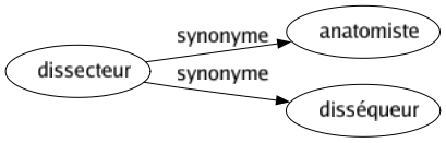 Synonyme de Dissecteur : Anatomiste Disséqueur 