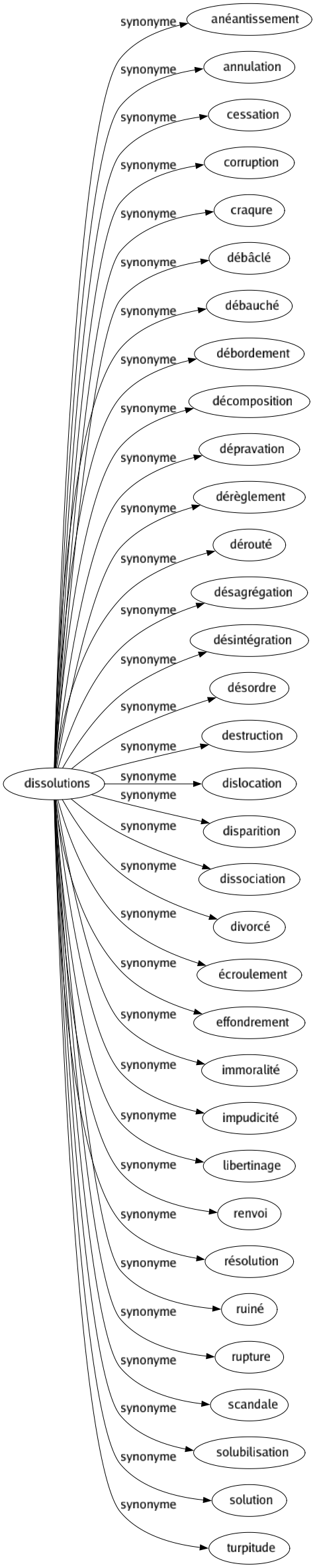 Synonyme de Dissolutions : Anéantissement Annulation Cessation Corruption Craqure Débâclé Débauché Débordement Décomposition Dépravation Dérèglement Dérouté Désagrégation Désintégration Désordre Destruction Dislocation Disparition Dissociation Divorcé Écroulement Effondrement Immoralité Impudicité Libertinage Renvoi Résolution Ruiné Rupture Scandale Solubilisation Solution Turpitude 