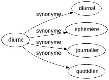 Synonyme de Diurne : Diurnal Éphémère Journalier Quotidien 