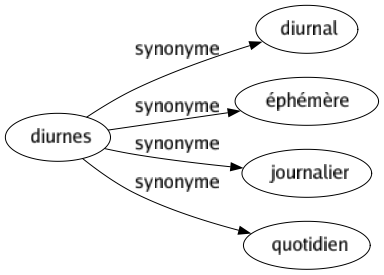 Synonyme de Diurnes : Diurnal Éphémère Journalier Quotidien 