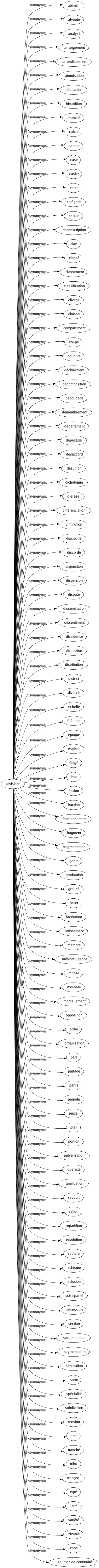 Synonyme de Divisions : Abîmé Alvéole Analysé Arrangement Arrondissement Atomisation Bifurcation Bipartition Branché Calcul Canton Casé Casier Caste Catégorie Cellule Circonscription Clan Classé Classement Classification Clivage Cloison Compartiment Coupé Coupure Déchirement Décomposition Découpage Démembrement Département Dépeçage Désaccord Désunion Dichotomie Diérèse Différenciation Diminution Discipliné Discordé Disjonction Dispersion Disputé Dissémination Dissentiment Dissidence Distinction Distribution District Divorcé Échelle Élément Époque Espèce Étagé État Fission Fraction Fractionnement Fragment Fragmentation Genre Graduation Groupé Heurt Lacération Lotissement Membre Mésintelligence Mitose Morceau Morcellement Opposition Ordre Organisation Part Partagé Partie Période Pièce Plan Portion Pulvérisation Querellé Ramification Rapport Ration Répartition Résolution Rupture Schisme Scission Scissiparité Sécession Section Sectionnement Segmentation Séparation Sorte Spécialité Subdivision Tension Tiret Tranché Tribu Tronçon Typé Unité Variété Zizanie Zoné Solution de continuité 