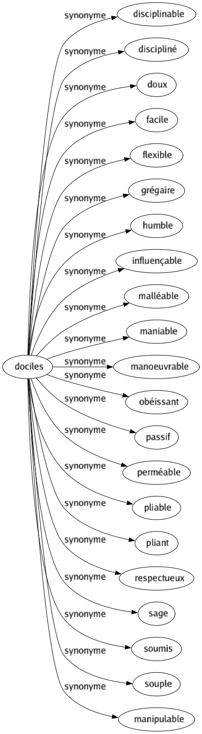 Synonyme de Dociles : Disciplinable Discipliné Doux Facile Flexible Grégaire Humble Influençable Malléable Maniable Manoeuvrable Obéissant Passif Perméable Pliable Pliant Respectueux Sage Soumis Souple Manipulable 