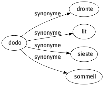 Synonyme de Dodo : Dronte Lit Sieste Sommeil 