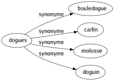 Synonyme de Dogues : Bouledogue Carlin Molosse Doguin 