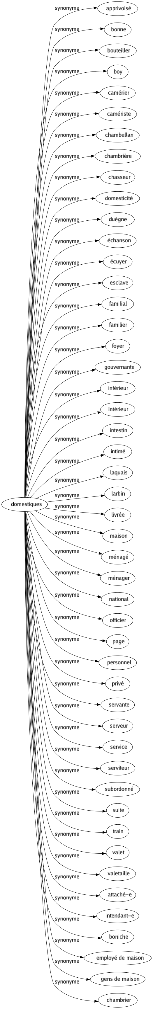 Synonyme de Domestiques : Apprivoisé Bonne Bouteiller Boy Camérier Camériste Chambellan Chambrière Chasseur Domesticité Duègne Échanson Écuyer Esclave Familial Familier Foyer Gouvernante Inférieur Intérieur Intestin Intimé Laquais Larbin Livrée Maison Ménagé Ménager National Officier Page Personnel Privé Servante Serveur Service Serviteur Subordonné Suite Train Valet Valetaille Attaché-e Intendant-e Boniche Employé de maison Gens de maison Chambrier 